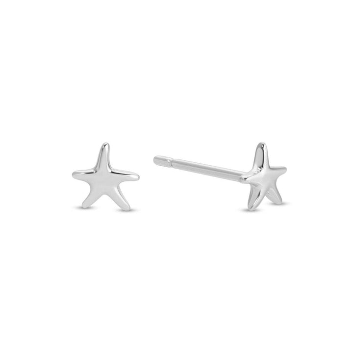 Petite Starfish Studs on Velvet Tag