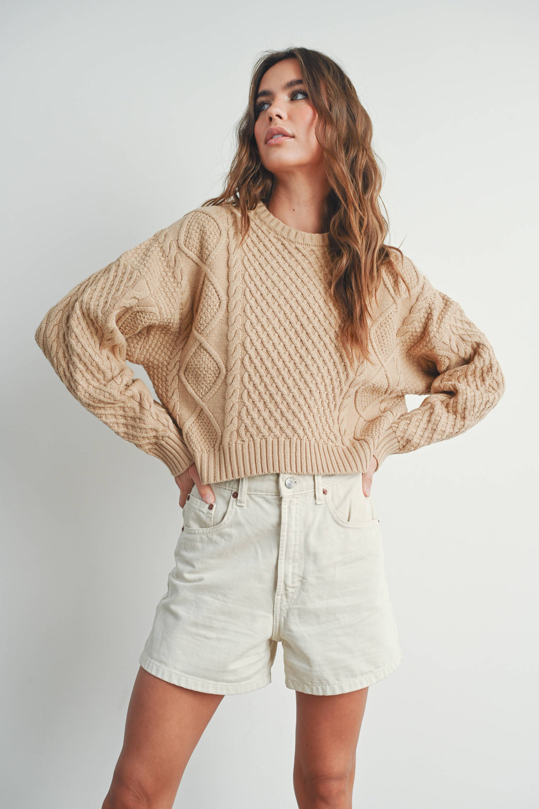 Fall Casual Solid Cable Knit Sweater - BMW7194