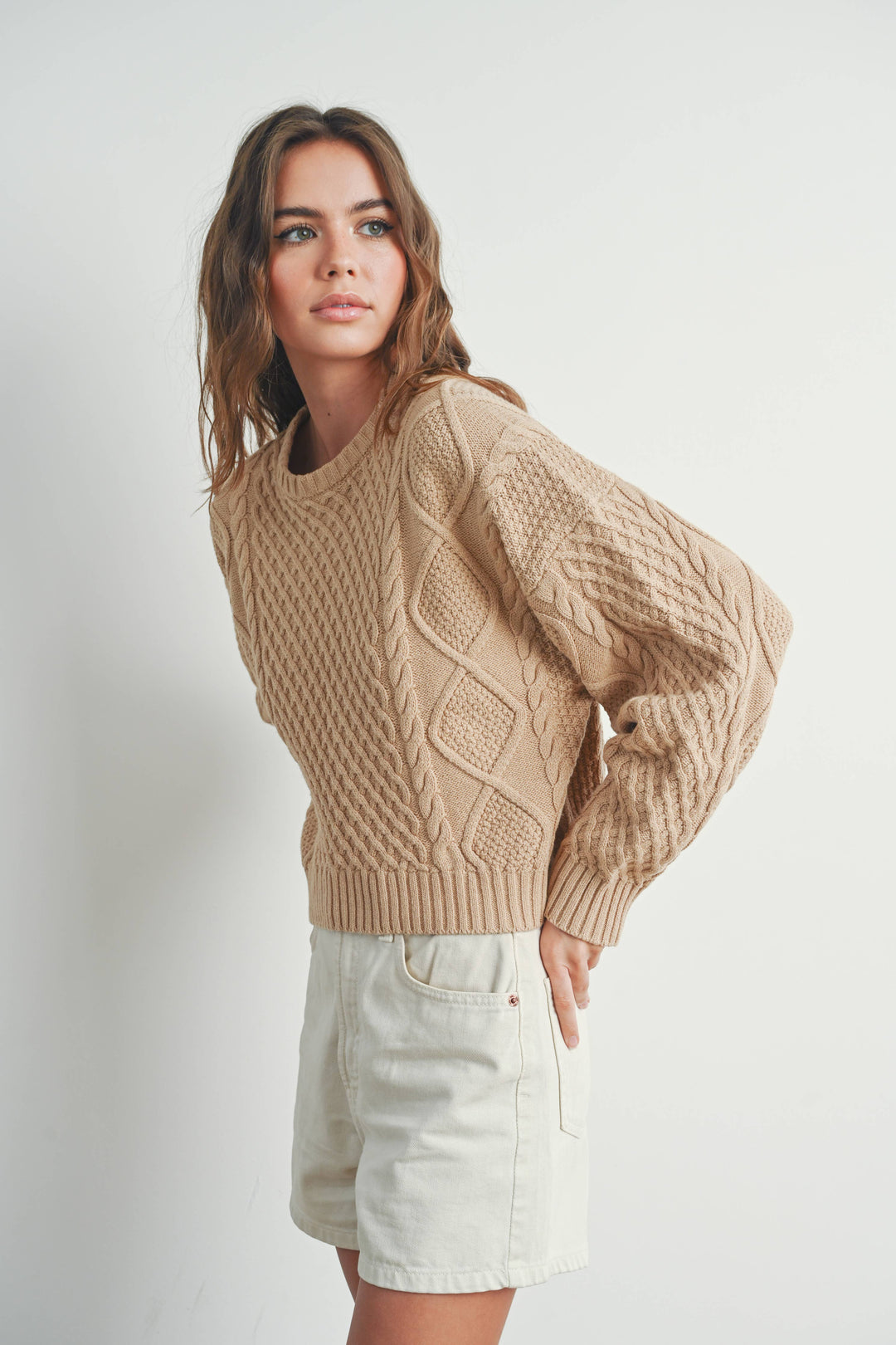 Fall Casual Solid Cable Knit Sweater - BMW7194