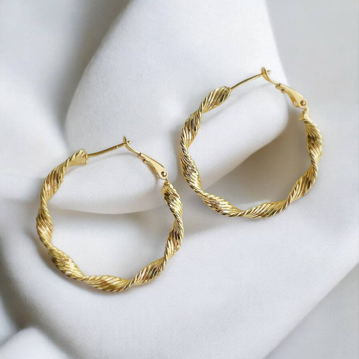 Twisted Hoops Earrings