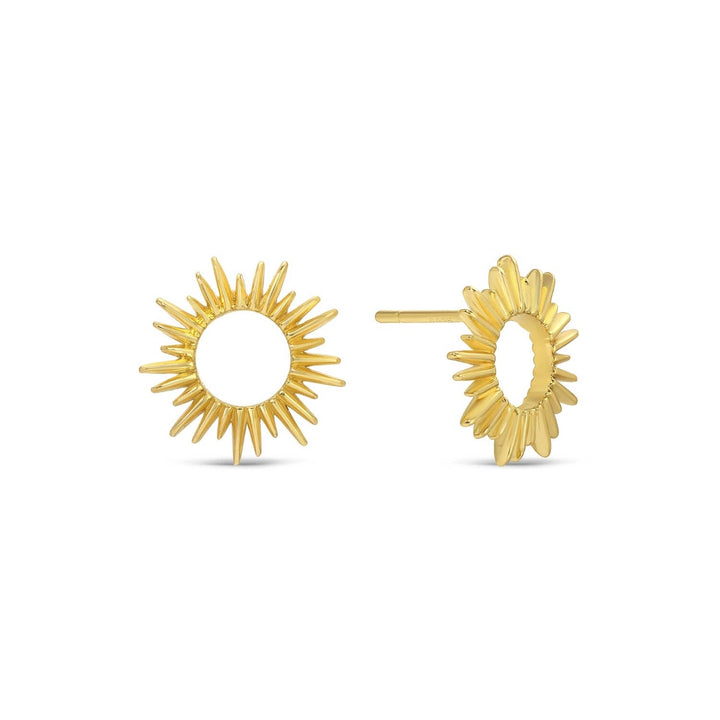 Open Sun Studs On Velvet Gift Tag