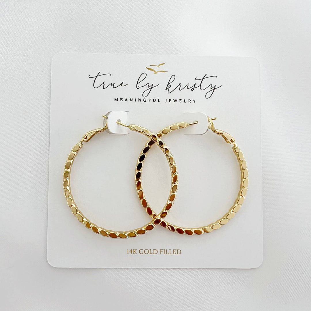 Goldie Hoops Earrings Gold Filled